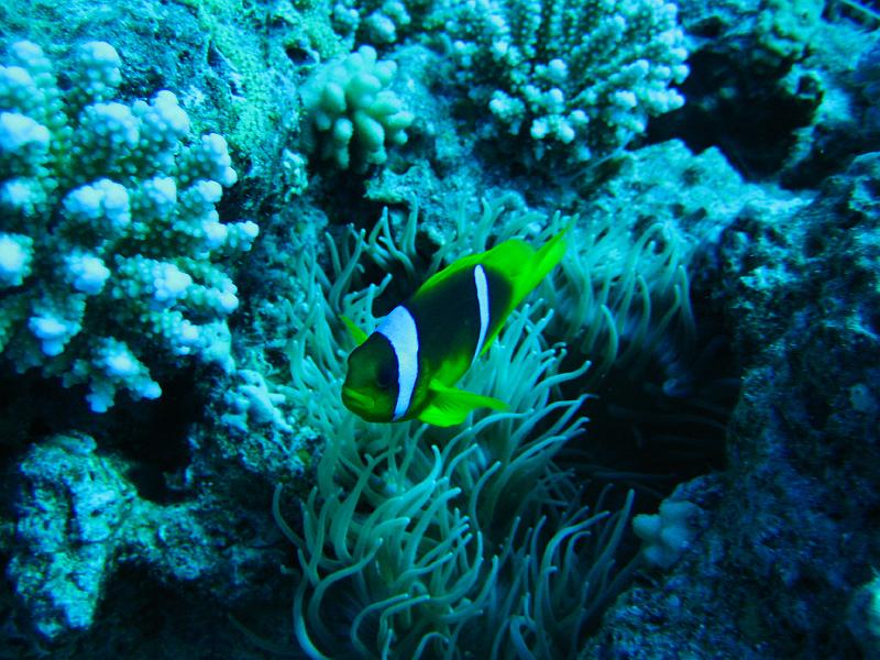 2009-12-05 10-48-15S.JPG